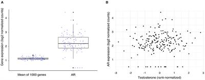 Plasma Testosterone Levels and Atherosclerotic Plaque Gene Expression in Men With Advanced Atherosclerosis